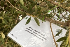 image00034